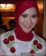 Artis Indo 33